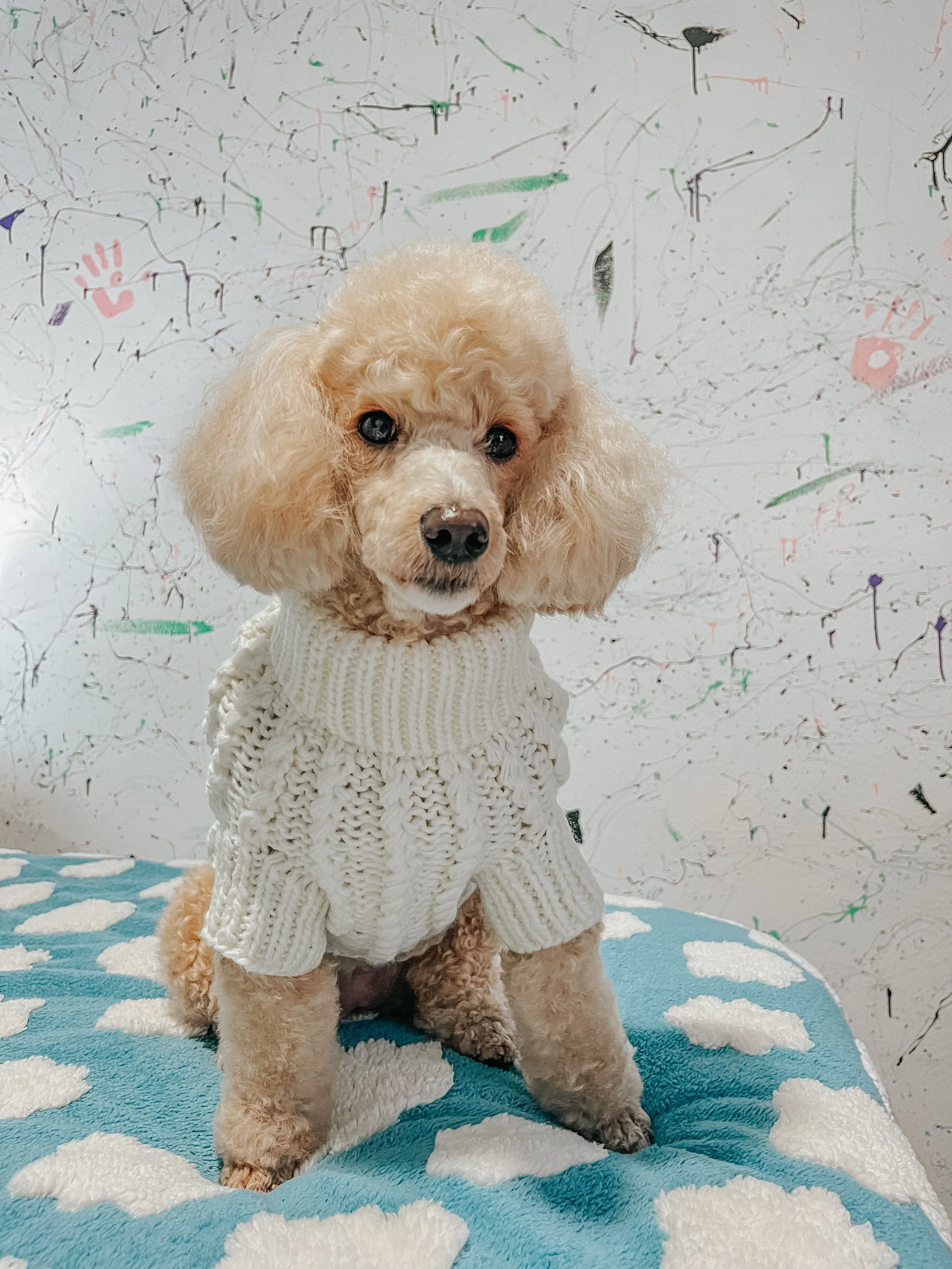 Dog Cable Knit Sweater - White