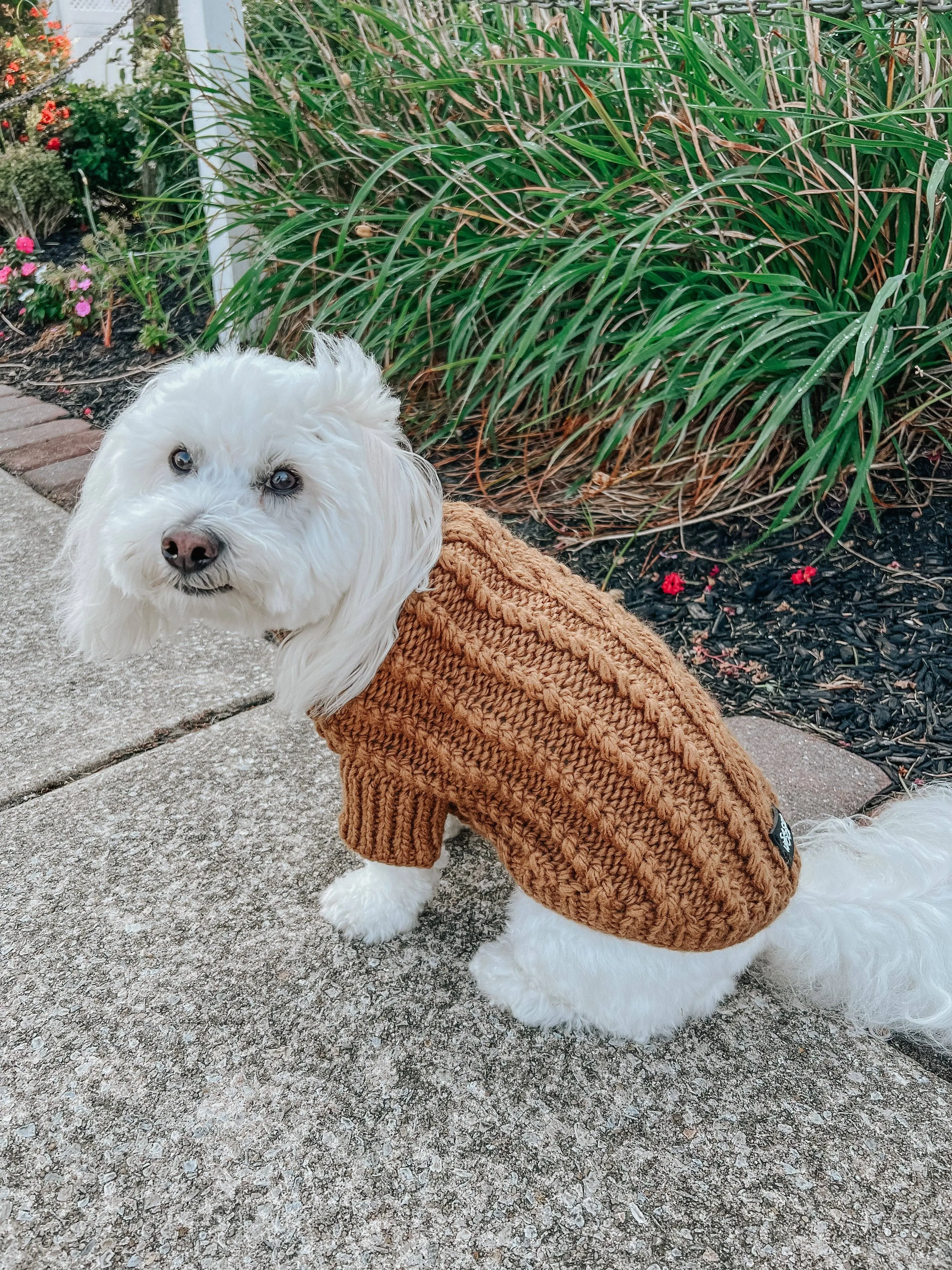 Sassy Woof Dog Cable Knit Sweater Brown | Cozy Pet Sweater | Knit Dog Sweater