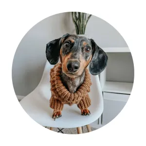 Sassy Woof Dog Cable Knit Sweater Brown | Cozy Pet Sweater | Knit Dog Sweater