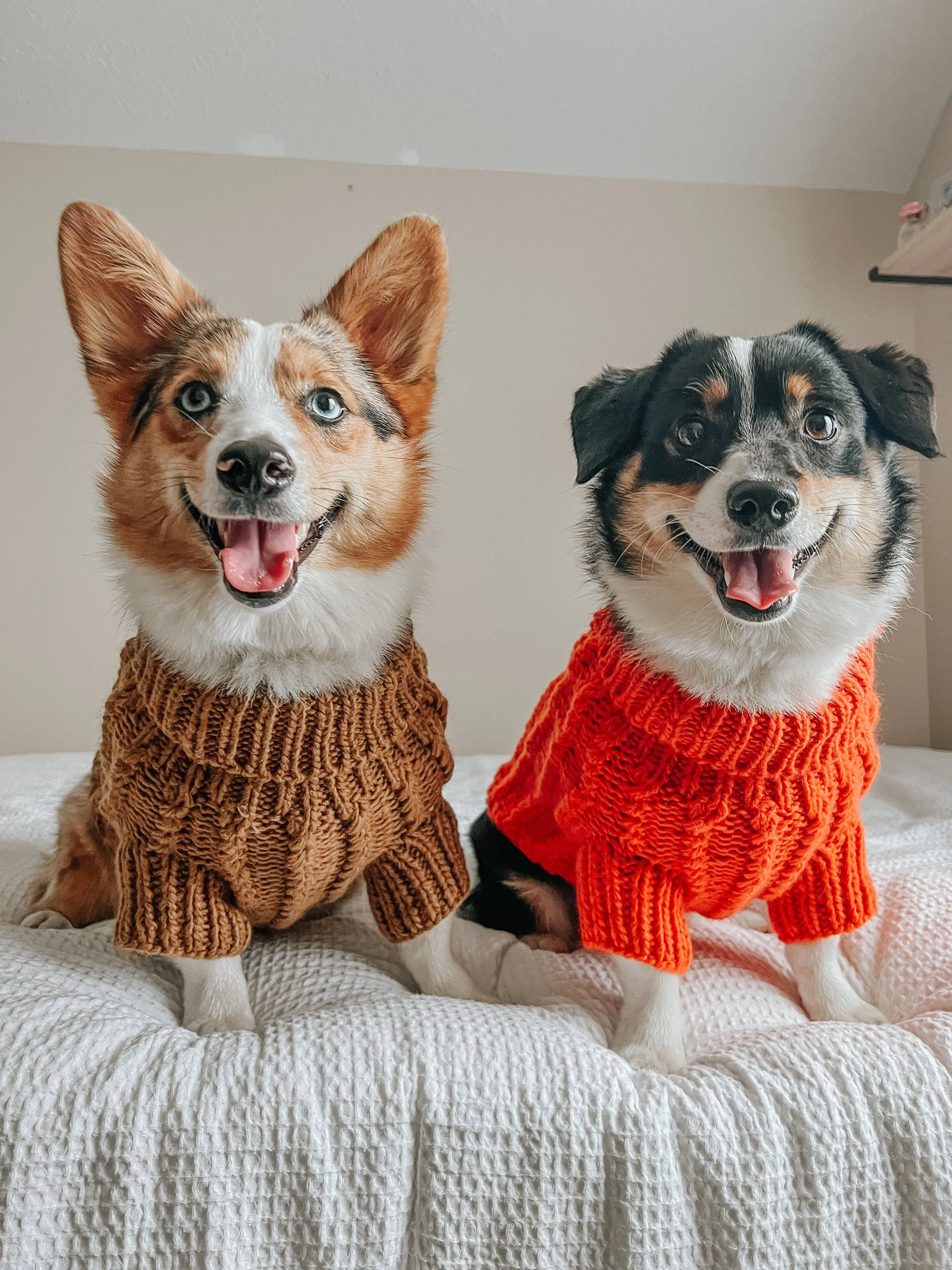 Sassy Woof Dog Cable Knit Sweater Brown | Cozy Pet Sweater | Knit Dog Sweater